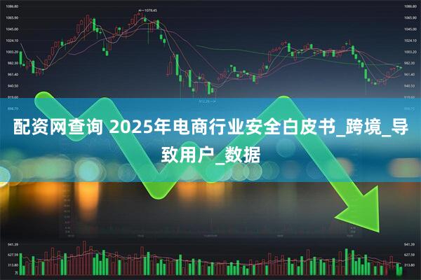 配资网查询 2025年电商行业安全白皮书_跨境_导致用户_数据